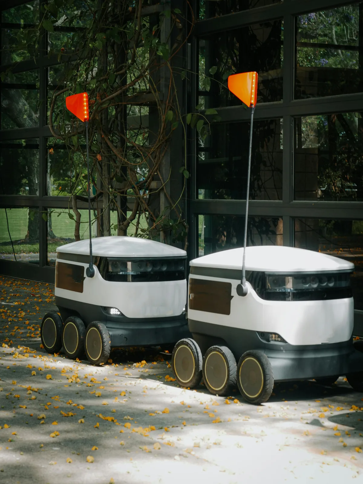Custom AI Solutions